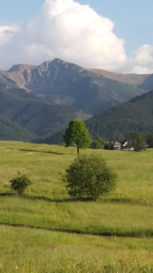 Domek Pod Ubocom Zakopane Exteriör bild